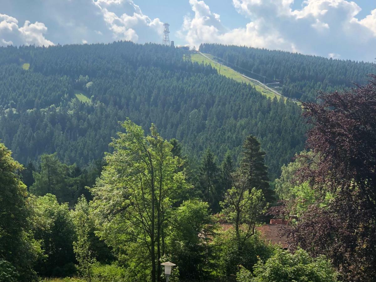 Berghotel Harz Гослар Екстер'єр фото